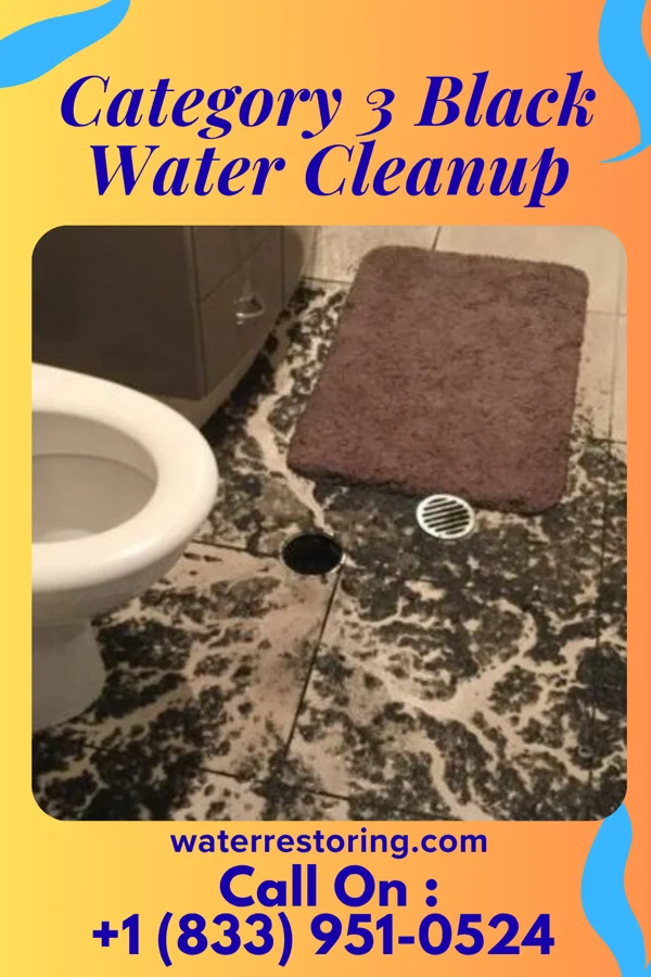 Category 3 Black Water Cleanup in Pymatuning South, PA