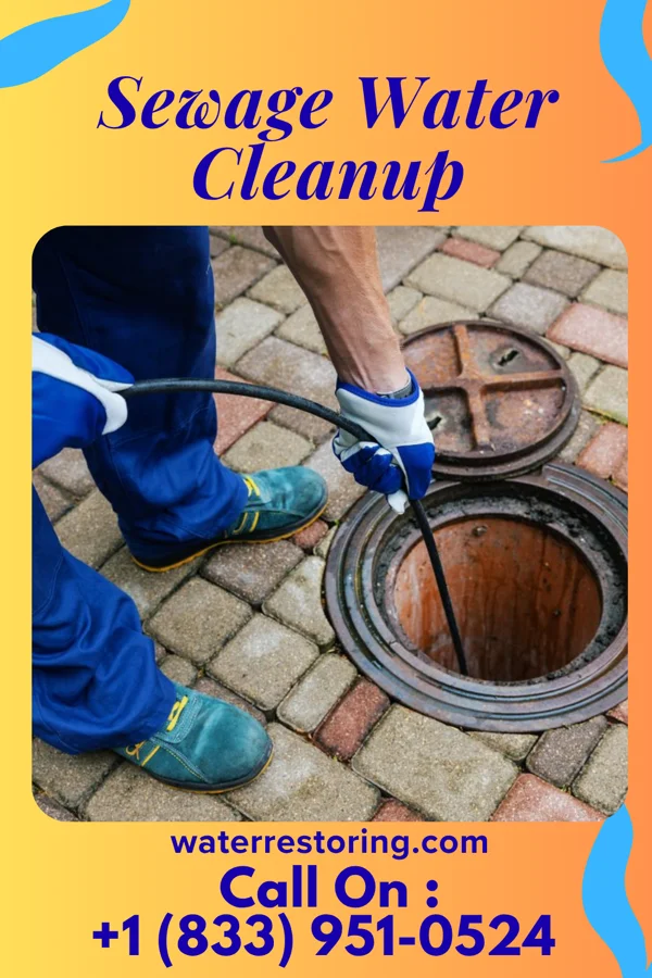 Sewage Water Cleanup in Pymatuning South, PA