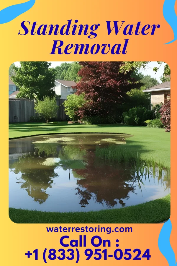 Standing Water Removal in Pymatuning South, PA